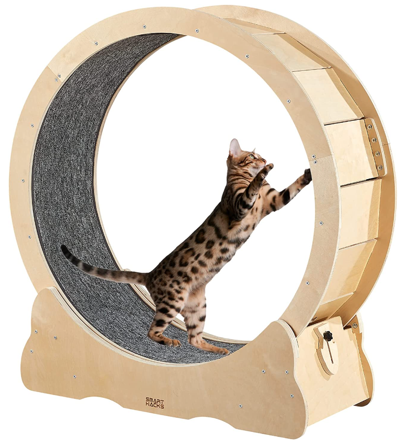 猫跑步机