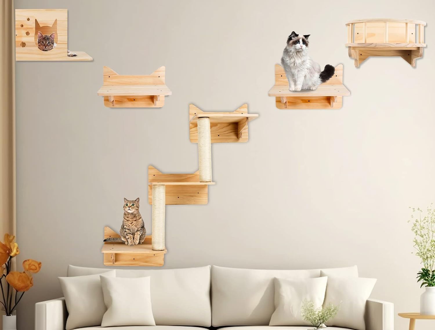 猫爬架